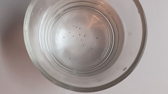 Puntini neri caraffa filtrante